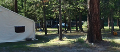 Camp in Christian Valley